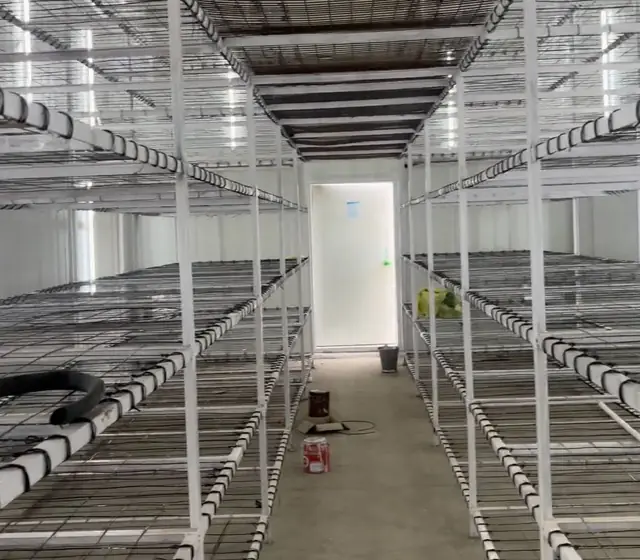 A racked MushroomWale grow room, ready to run