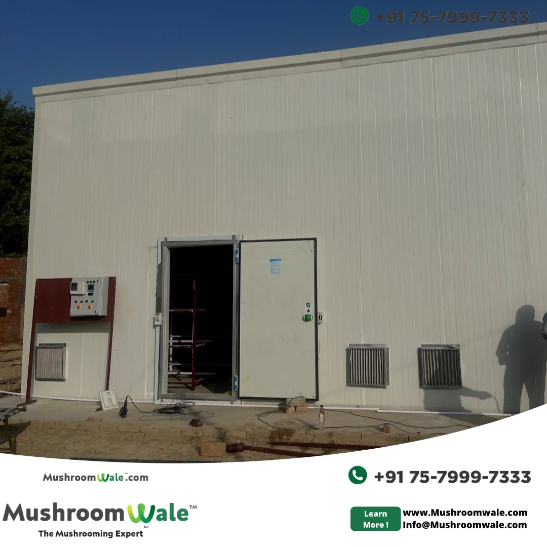 Completed mushroom farm building handed over to a client