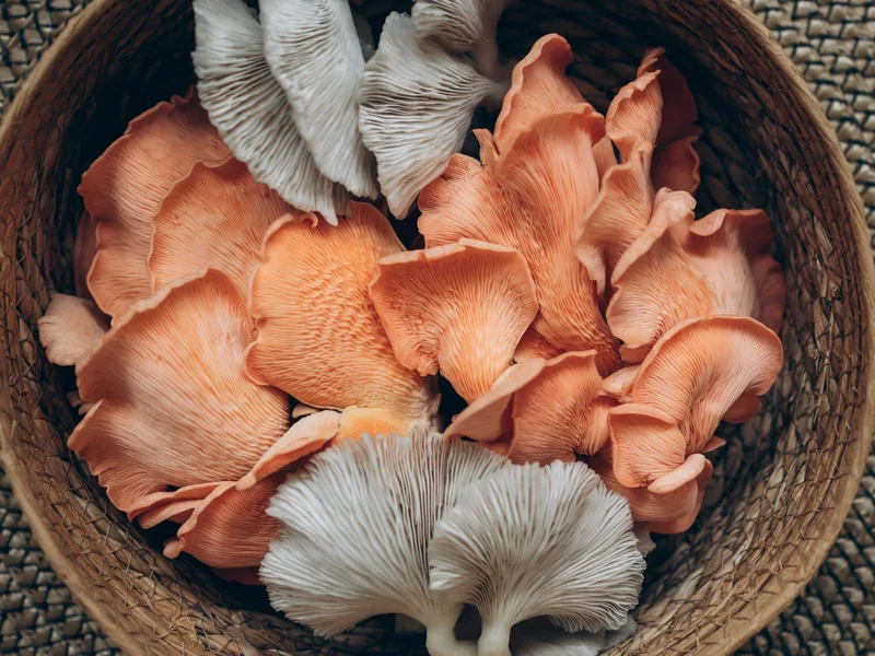 Beyond Button — Exotic Mushroom Builds